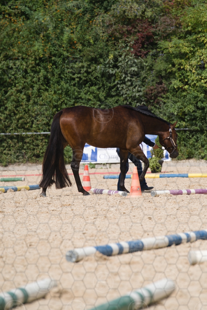 s_batch_A9_00056.jpg